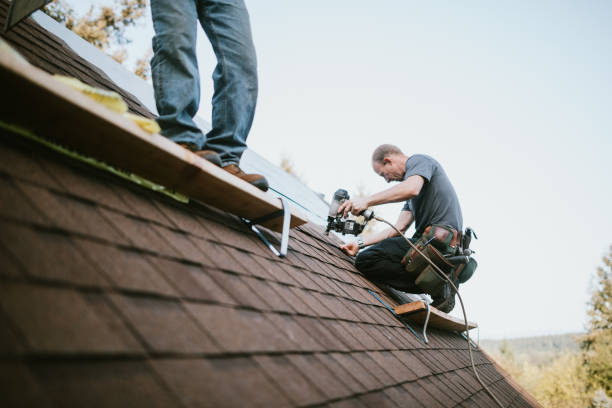 Best Roof Insulation Installation  in Wlow Springs, IL